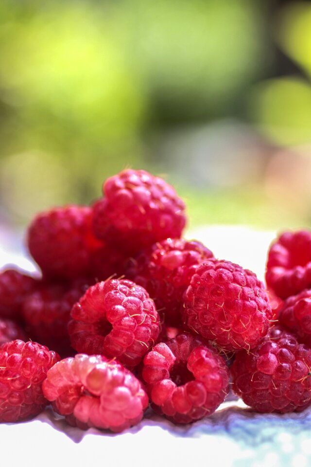 Pink red summer