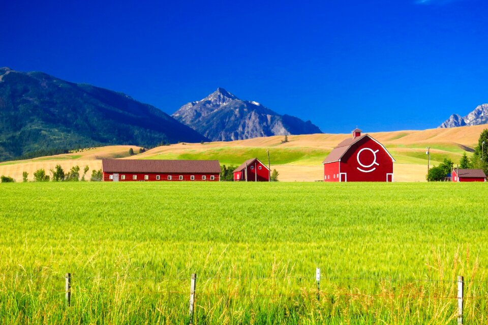 Rural architecture field