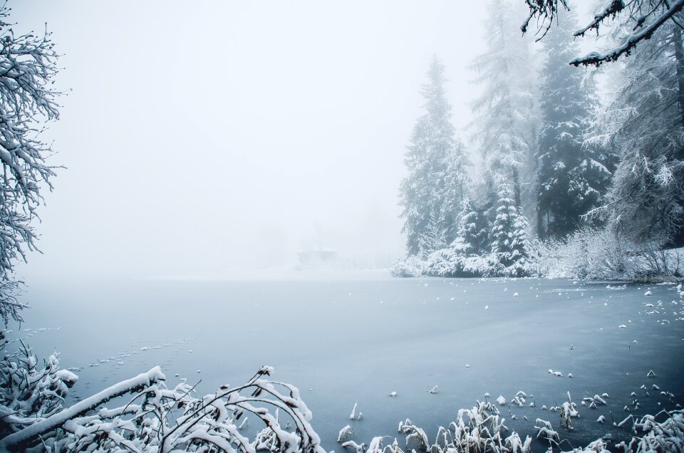 Nature frost icing photo