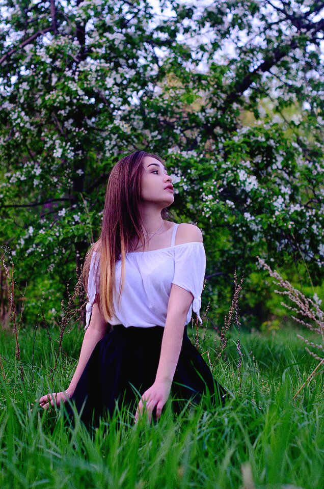 Bloom field summer