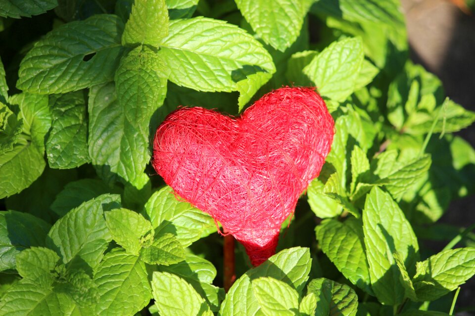Luck love decoration