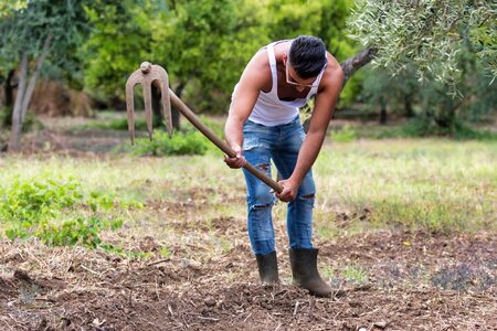 Summer soil farmer