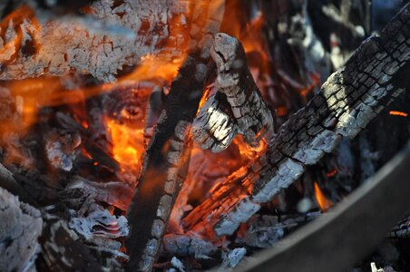 Campfire burn firewood photo