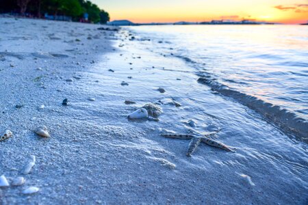 Sunrise sea ocean photo