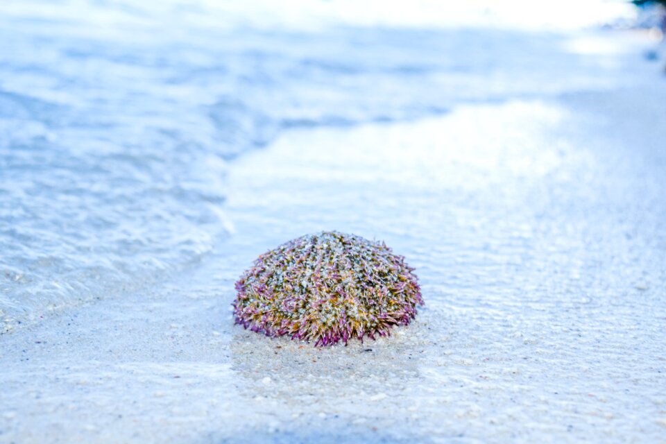 Nature water marine