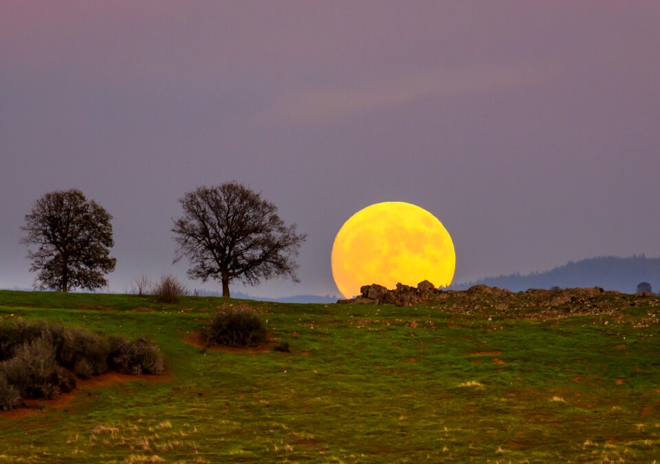 Wilderness scenic evening
