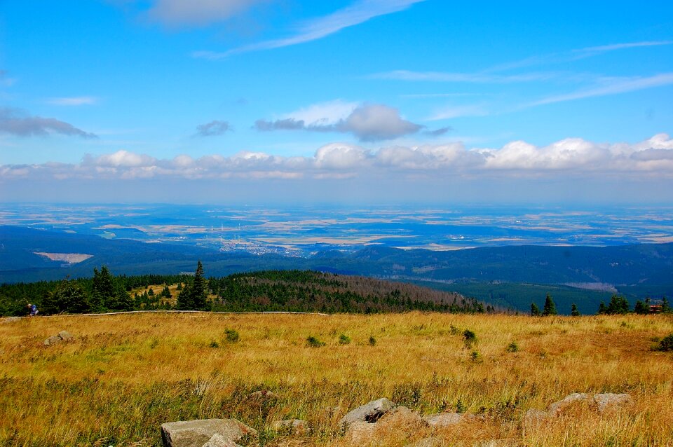 Nature forest highlands