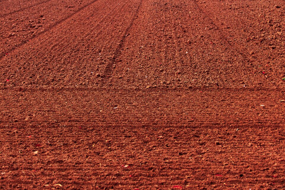 Field order dry lines