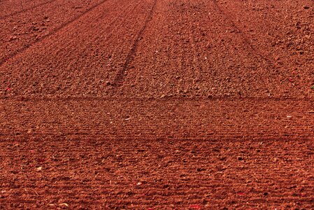 Field order dry lines photo