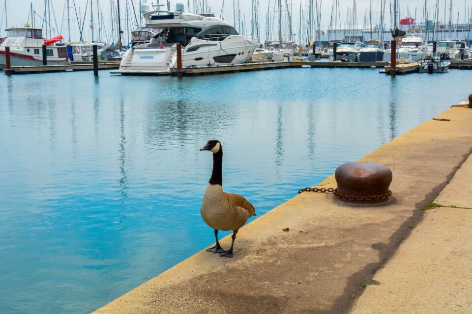 View ocean boat