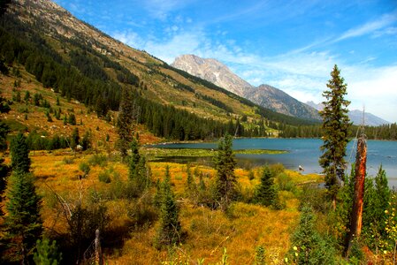 String lake grand teton photo