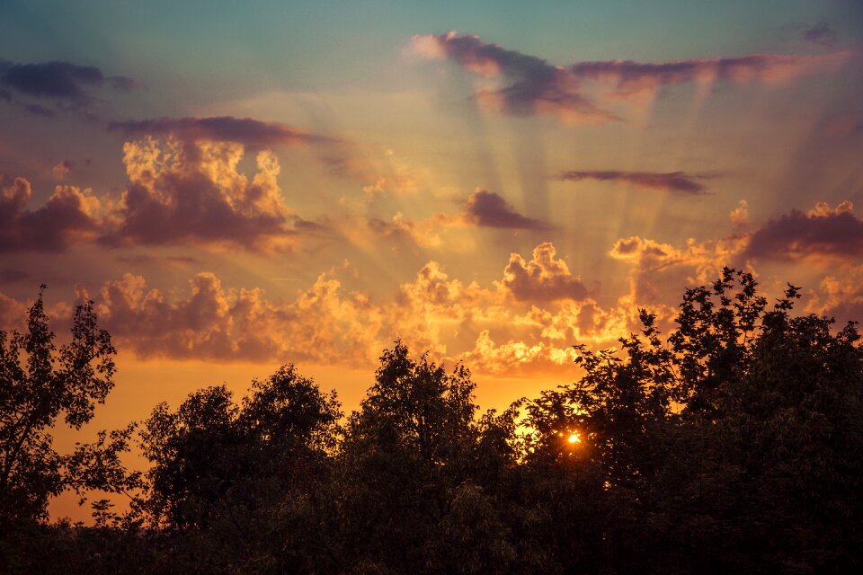 Nature in the morning summer