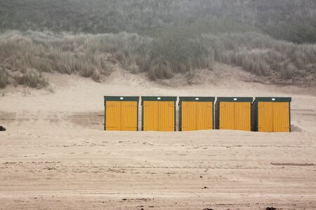 Coast grass yellow