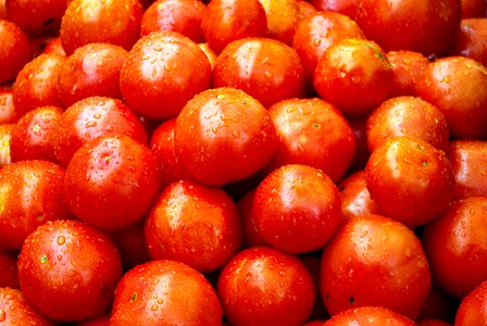 Food harvest market