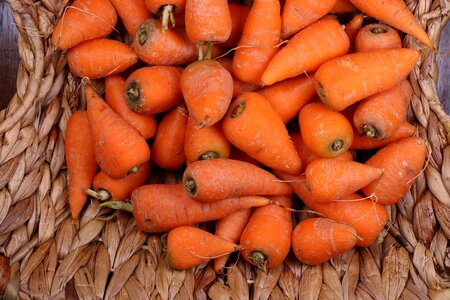 Carrots basket orange