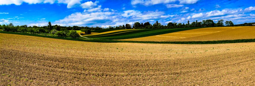 Agriculture wallpaper landscape