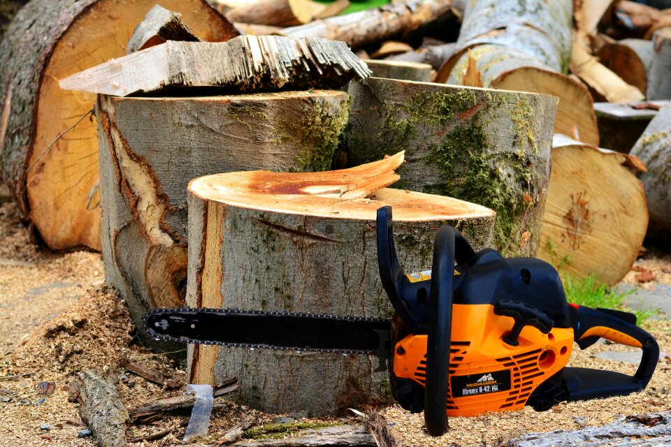 Chainsaw nature forest