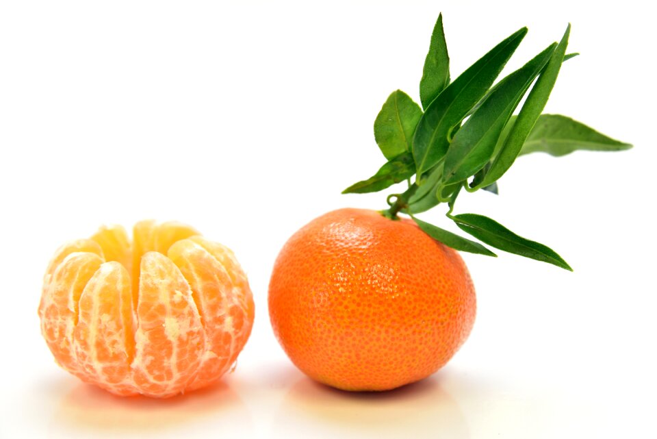 Nutrition delicious fresh