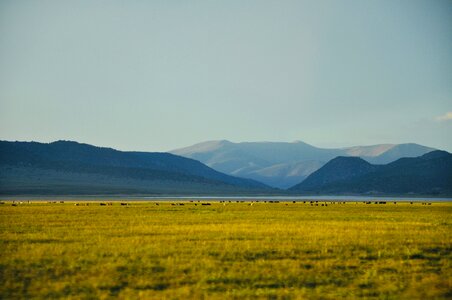 Fields green blue