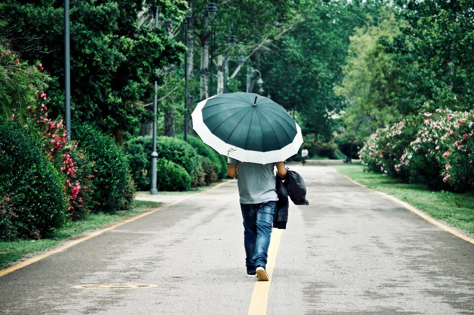 Leisure road solitude