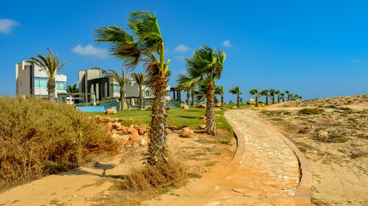 Palm trees villas tourism photo