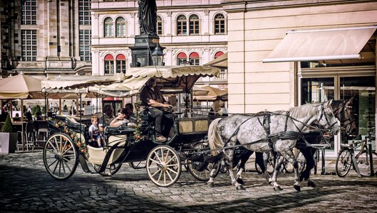 Team wagon transport