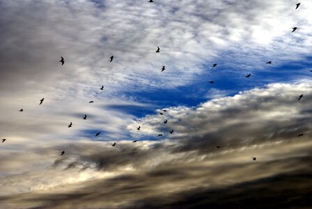 Flight pen clouds photo