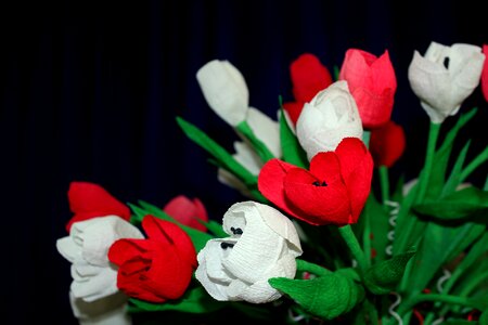 Independence decoration creativity