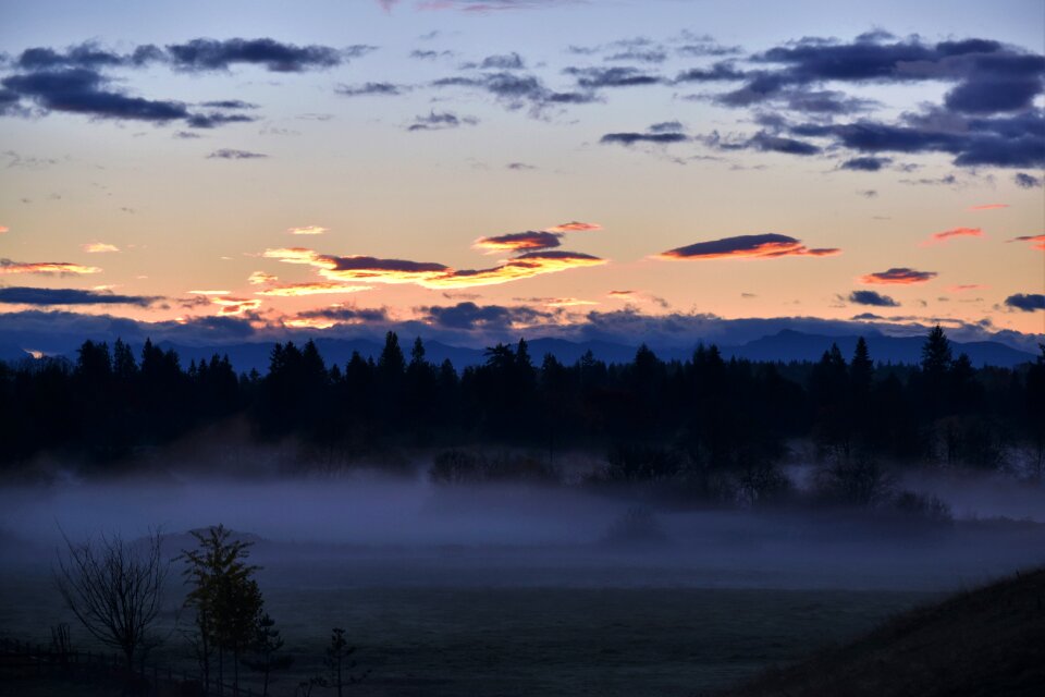 Landscape nature haze