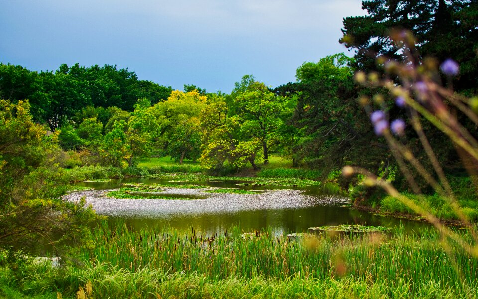 Water landscape rest
