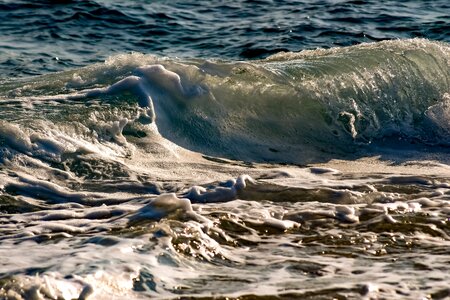 Water sea nature