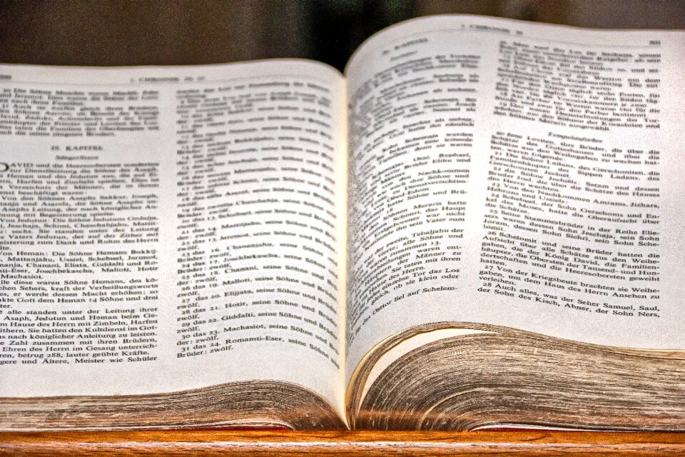 Pages reading literature
