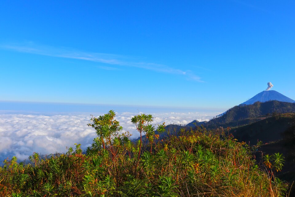 Mount volcano mountain