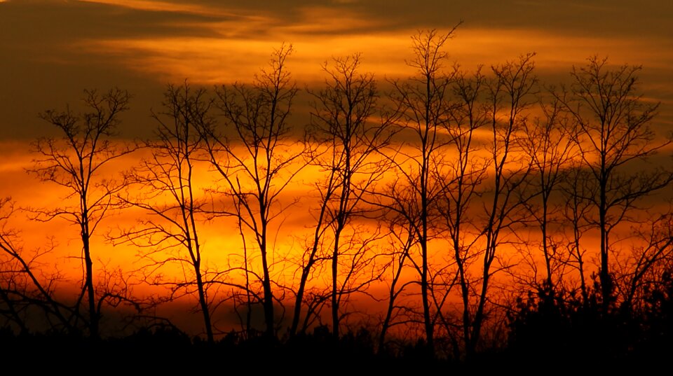 Sunset panoramic nature photo