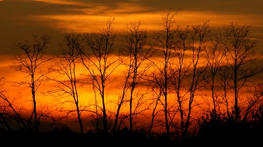 Sunset panoramic nature photo