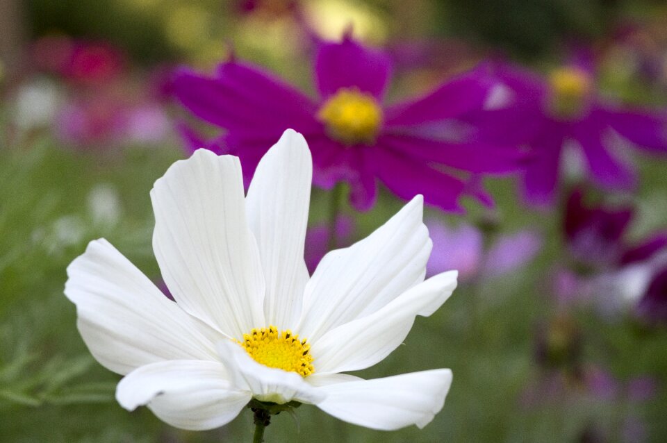 White focused blurry background