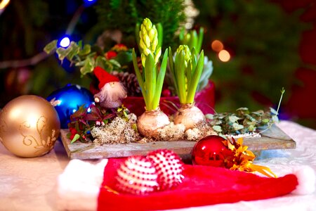 Flower decoration deco
