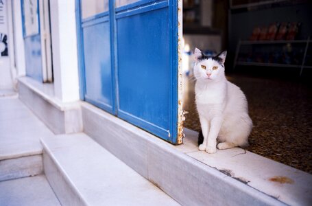 Street greece ios