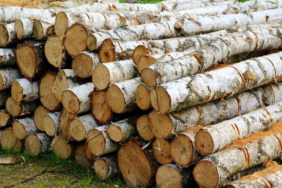 Batch the industry wooden