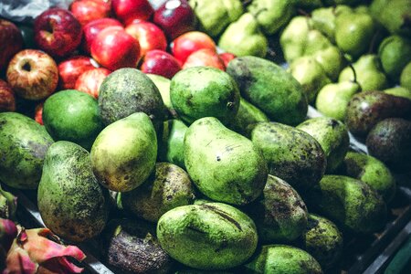 Mango mango fruits mangoes photo