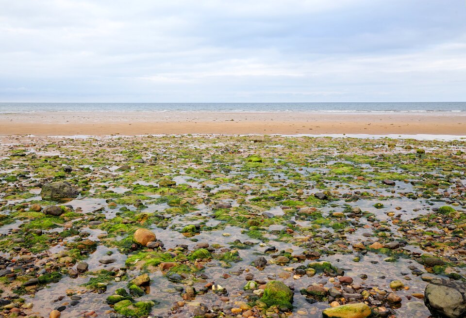 Beach water sky