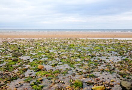 Beach water sky photo