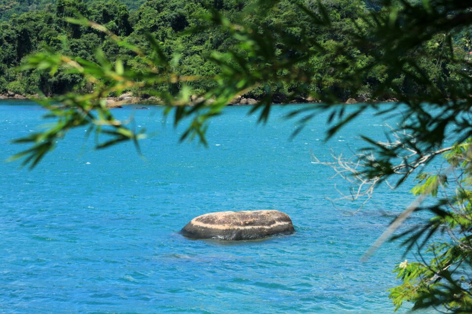 Rio de janeiro water nature