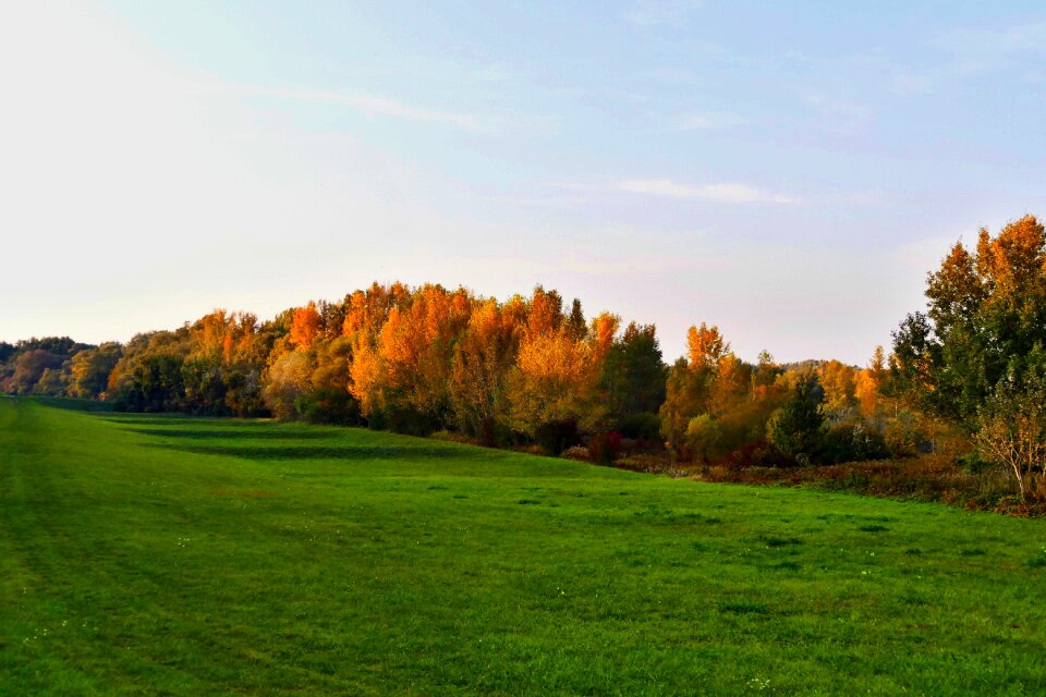 Autumn pastures the sky