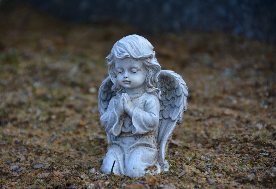 Statue wing sculpture