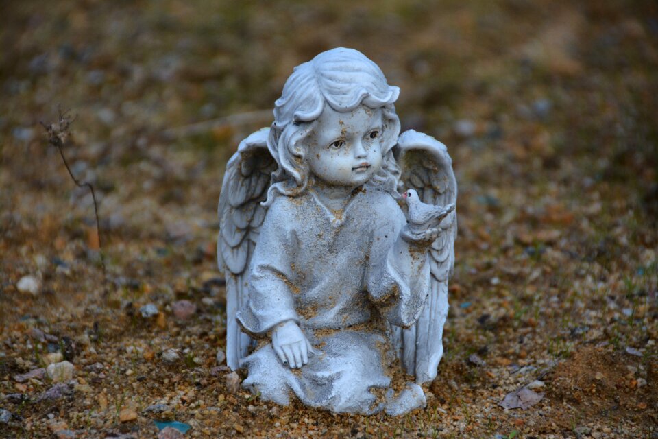 Wings sculpture heavenly