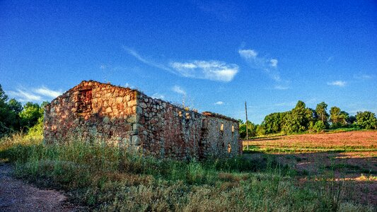 Rural forest nature