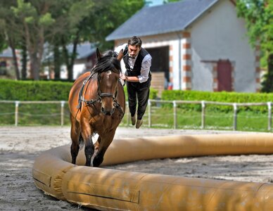 Acrobatics sport equestrian
