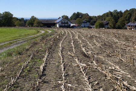 Field harvest arable photo