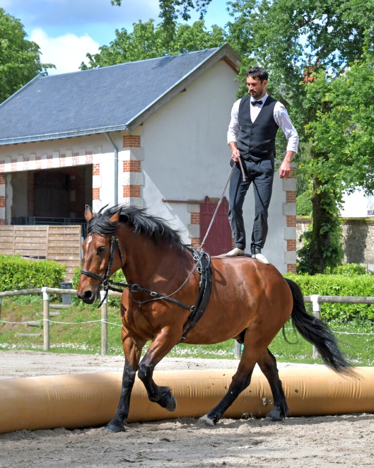 Acrobatics sport equestrian